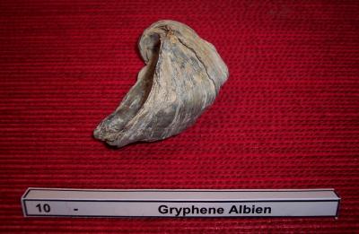 10gryphene_albien.jpg