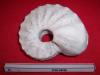 Cliquer pour voir 17ceratite_t1.jpg