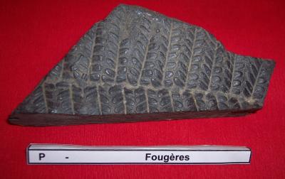 31fougeres.jpg